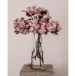 IXXI Cherry Break, STUDIO HANNAH LEMHOLT - 80 x 100 cm - Gratis ophangtool - Grote wanddecoratie en posters - Fotografie, Woonkamer, Slaapkamer