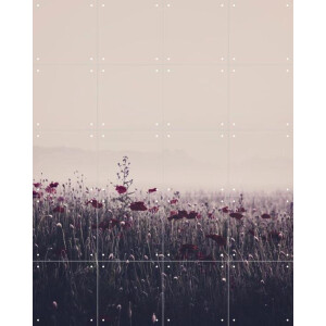 IXXI Poppy Study 03, STUDIO HANNAH LEMHOLT - 80 x 100 cm - Gratis ophangtool - Grote wanddecoratie en posters - Fotografie, Woonkamer, Slaapkamer