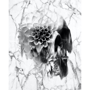 Kristal Helder Galerie kwaliteit Plexiglas 5mm.- Blind Aluminium Ophang-frame- Fotokunst- luxe wanddecoratie- Akoestisch en UV Werend- inclusief verzending