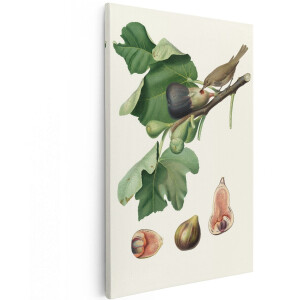 Artaza Canvas Schilderij Vogel - 120x180 cm - Groot - Wanddecoratie Vintage - Muurdecoratie Vijgenboom - Decoratie Fruit - Schilderijen Op Canvas