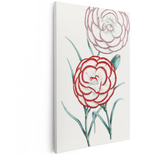 Artaza Canvas Schilderij Anjers - 120x180 cm - Groot - Wanddecoratie Bloemen - Muurdecoratie Vintage Botanisch - Decoratie Woonkamer Rood Wit