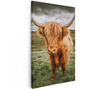 Artaza Canvas Schilderij Schotse Hooglanders In De Wei - Kleur - 100x150 cm - Groot - Wanddecoratie Woonkamer - Schilderijen - Muurdecoratie