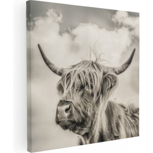 Artaza Canvas Schilderij Schotse Hooglandkoe met Hoorns - 70x70 - Wanddecoratie - Foto Op Canvas - Canvas Print