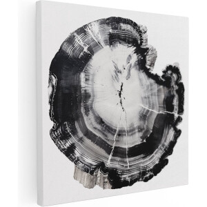 Artaza Canvas Schilderij Zwart Wit Deel van een Boom - 80x80 cm - Groot - Wanddecoratie Woonkamer - Schilderijen - Muurdecoratie