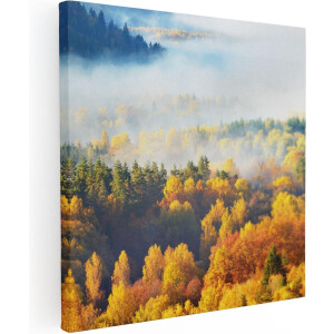 Artaza Canvas Schilderij Gekleurde Herfstbos Met Mist - 70x70 - Foto Op Canvas - Canvas Print