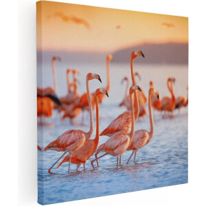 Artaza Canvas Schilderij Kudde Flamingo's in het Water - 70x70 - Foto Op Canvas - Canvas Print