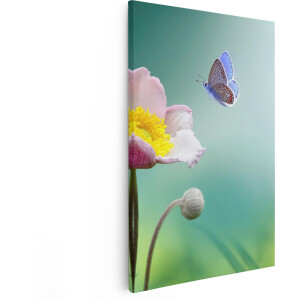 Artaza Canvas Schilderij Roze Anemoon Bloem Met Een Blauwe Vlinder - 60x90 - Foto Op Canvas - Canvas Print