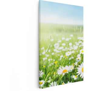 Artaza Canvas Schilderij Bloemenveld Van Madeliefjes - Bloemen - 60x90 - Foto Op Canvas - Canvas Print