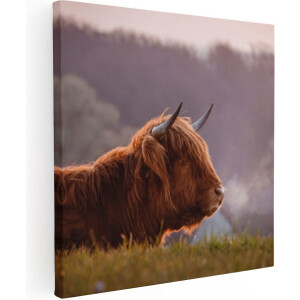 Artaza Canvas Schilderij Schotse Hooglander Koe Ligt In Het Gras - 50x50 - Foto Op Canvas - Canvas Print
