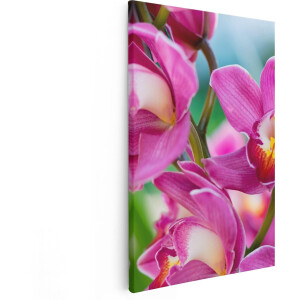 Artaza Canvas Schilderij Licht Paarse Orchidee Bloemen - 20x30 cm - Klein - Wanddecoratie Woonkamer - Schilderijen - Muurdecoratie
