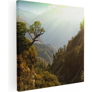 Artaza Canvas Schilderij Bos In De Bergen Met Zonneschijn - Kleur - 90x90 - Groot - Foto Op Canvas - Canvas Print