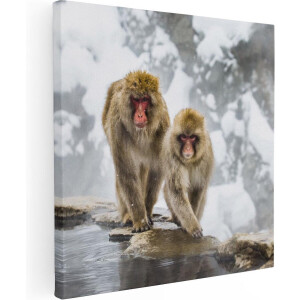 Artaza Canvas Schilderij Twee Aapjes In De Sneeuw Op Rotsen - 70x70 - Foto Op Canvas - Canvas Print