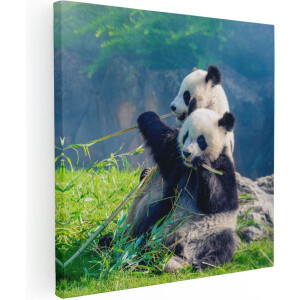 Artaza Canvas Schilderij Twee Panda's Eten Bamboe Riet - 70x70 - Foto Op Canvas - Canvas Print