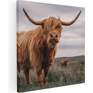 Artaza Canvas Schilderij Schotse Hooglander - 50x50 cm - Wanddecoratie Woonkamer - Muurdecoratie Dieren - Schilderijen Op Canvas