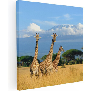 Artaza Canvas Schilderij Afrika - 40x40 cm - Klein - Wanddecoratie Giraffe - Muurdecoratie Wilde Dieren - Kamer Accessoires Savanne