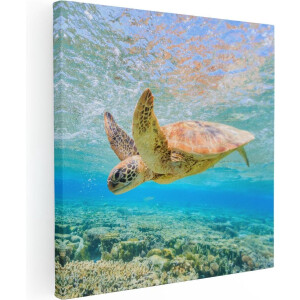 Artaza Canvas Schilderij Schildpad Zwemt in de Zee bij het Rif - 50x50 - Foto Op Canvas - Canvas Print