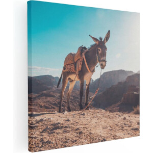 Artaza Canvas Schilderij Ezel In De Woestijn Met Helder Blauw Lucht - 30x30 - Klein - Foto Op Canvas - Canvas Print