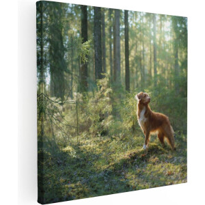 Artaza Canvas Schilderij Retriever Hond In Het Bos Met Zon - 40x40 - Klein - Foto Op Canvas - Canvas Print