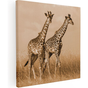 Artaza Canvas Schilderij Twee Giraffes In Het Veld - 70x70 cm - Wanddecoratie Woonkamer - Schilderijen - Muurdecoratie