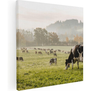 Artaza Canvas Schilderij Zwart Witte Koeien In De Wei - 50x50 - Foto Op Canvas - Canvas Print