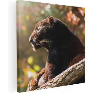Artaza Canvas Schilderij Zwarte Panter Vanaf De Zijkant - 90x90 - Groot - Foto Op Canvas - Canvas Print