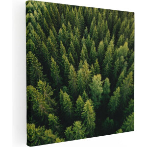 Artaza Canvas Schilderij Bos Met Bomen Vanaf Boven - 30x30 - Klein - Foto Op Canvas - Canvas Print
