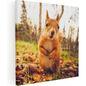Artaza Canvas Schilderij Eekhoorn in het Bos tijdens de Herfst - 70x70 - Foto Op Canvas - Canvas Print