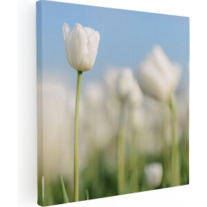 Artaza Canvas Schilderij Witte Tulpen - 90x90 cm - Wanddecoratie Bloemen - Muurdecoratie Bloemenveld - Schilderijen Op Canvas