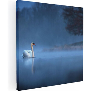 Artaza Canvas Schilderij Zwaan op het Water tussen de Mist - 40x40 - Klein - Foto Op Canvas - Canvas Print