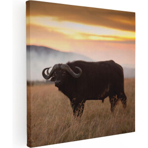 Artaza Canvas Schilderij Buffel in het Gras - 90x90 - Groot - Foto Op Canvas - Canvas Print
