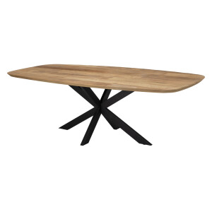 DTP Home Deens Ovale Eettafel 'Evo' Teakhout, 240 x 110cm