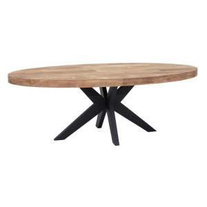 DTP Home Ovale Eettafel 'Darwin' Teakhout, 220 x 105cm