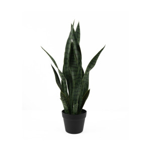 present time Kunstplant 'Sansevieria' 66cm