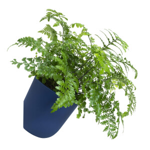 QUVIO Bloempot voor aan de wand - Diameter 15 cm - Donkerblauw