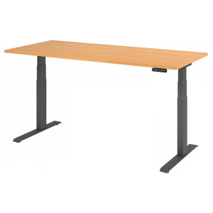 XDKB 19 G | Bureau - Beuken 180 x 80 Tafelhoogte I Elektrisch in hoogte verstelbaar