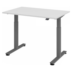 XMST 12 G | 120x80 | Bureau elektrisch in hoogte verstelbaar - Grijs 120x80 Tafelhoogte I Elektrisch in hoogte verstelbaar
