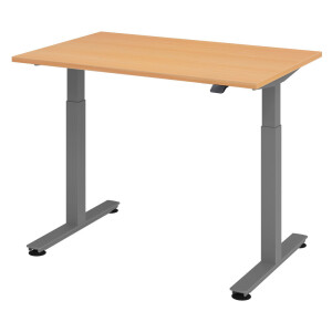 XMST 12 G | 120x80 | Bureau elektrisch in hoogte verstelbaar - Beuken 120x80 Tafelhoogte I Elektrisch in hoogte verstelbaar