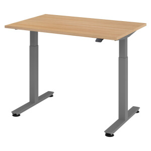 XMST 12 G | 120x80 | Bureau elektrisch in hoogte verstelbaar - 120x80 Eiken Tafelhoogte I Elektrisch in hoogte verstelbaar