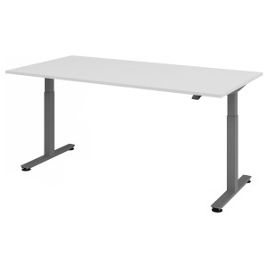 XMST 2E G | 200x100 | Bureau elektrisch in hoogte verstelbaar - Grijs 200 x 100 Tafelhoogte I Elektrisch in hoogte verstelbaar