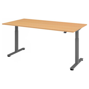 XMST 2E G | 200x100 | Bureau elektrisch in hoogte verstelbaar - Beuken 200 x 100 Tafelhoogte I Elektrisch in hoogte verstelbaar