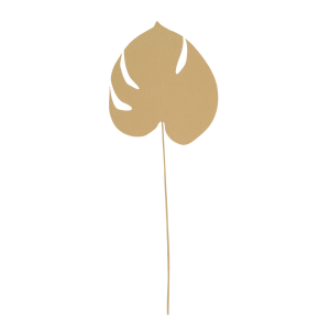 Decoratie Planta Monstera | Urban Nature Culture