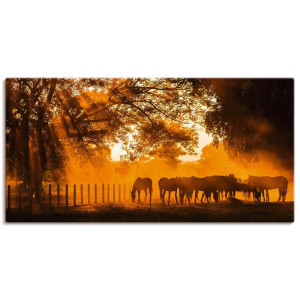 Artland Artprint Gouden licht op de paardenwei als artprint op linnen in verschillende maten