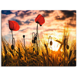 Artland Artprint Klaprozen bij zonsondergang als artprint van aluminium, artprint voor buiten, artprint op linnen, poster, muursticker