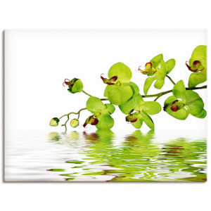 Artland Artprint Mooie orchidee met groene achtergrond als artprint op linnen, muursticker in verschillende maten