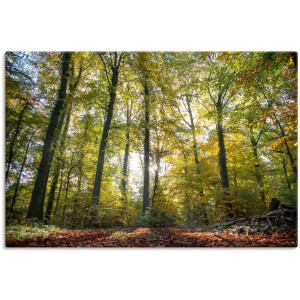 Artland Artprint op linnen Loofbos in de herfst gespannen op een spieraam