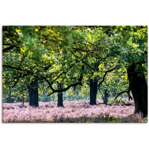 Artland Artprint op linnen Lüneburger heide gespannen op een spieraam