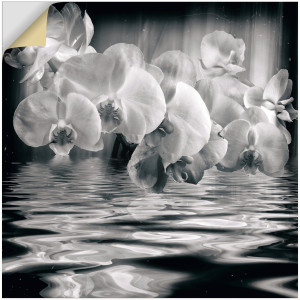 Artland Artprint Orchideeën - monochroom als artprint op linnen, muursticker in verschillende maten