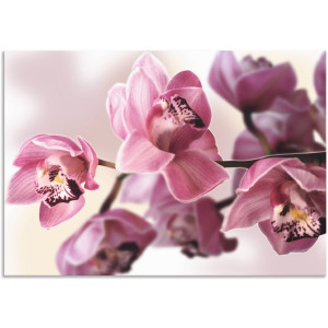 Artland Artprint Roze orchidee als artprint van aluminium, artprint voor buiten, artprint op linnen, poster, muursticker