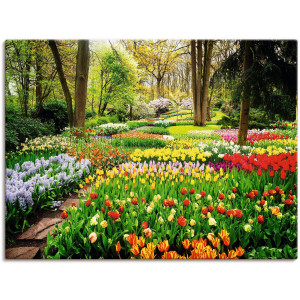 Artland Artprint Tulpenbloesem - Tulpen tuin voorjaar als artprint van aluminium, artprint voor buiten, artprint op linnen, poster, muursticker