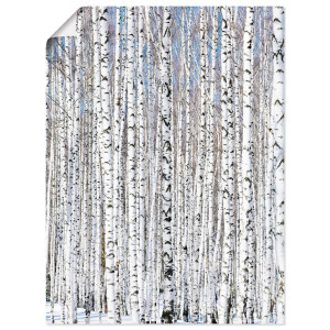 Artland Artprint Winter berkenbos winter sereniteit als artprint op linnen, poster in verschillende formaten maten